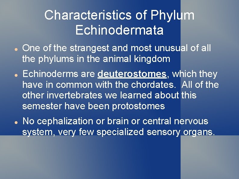 Characteristics of Phylum Echinodermata One of the strangest and most unusual of all the