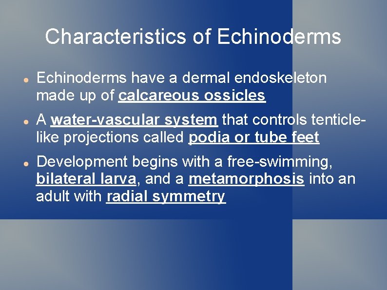 Characteristics of Echinoderms have a dermal endoskeleton made up of calcareous ossicles A water-vascular