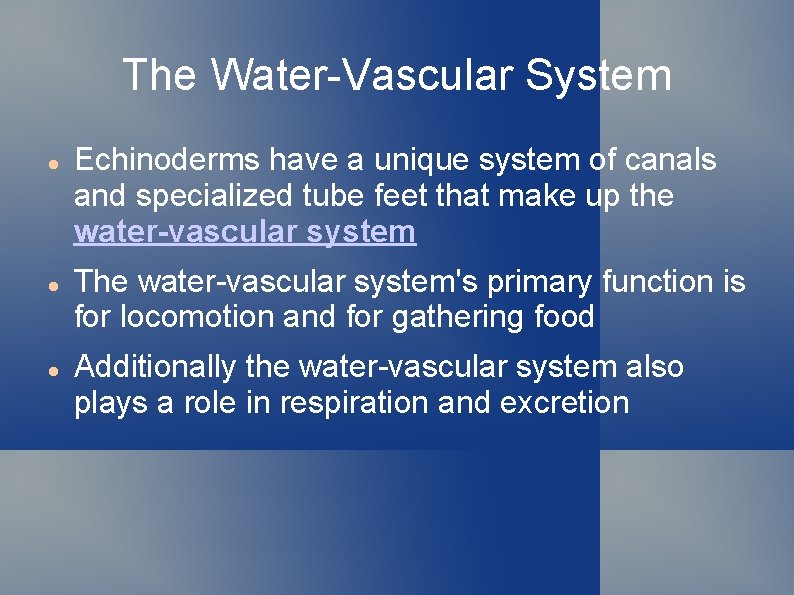 The Water-Vascular System Echinoderms have a unique system of canals and specialized tube feet