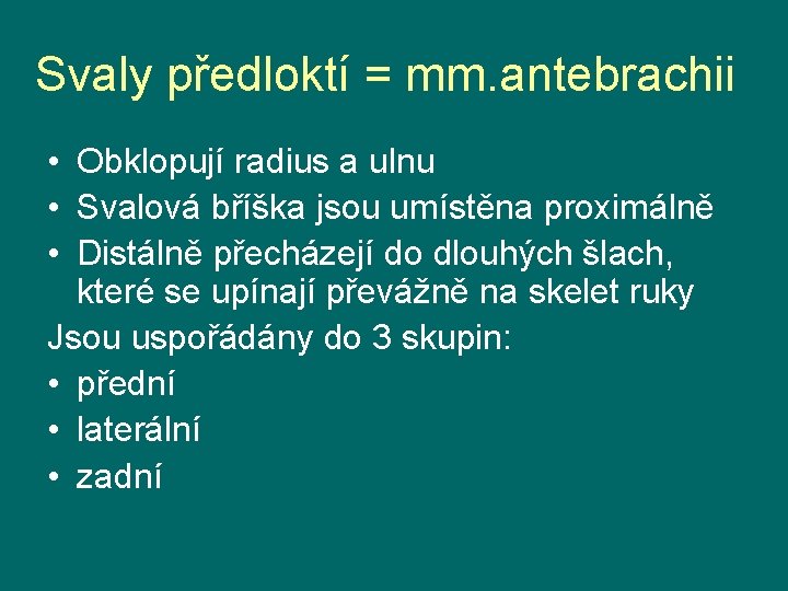 Svaly předloktí = mm. antebrachii • Obklopují radius a ulnu • Svalová bříška jsou