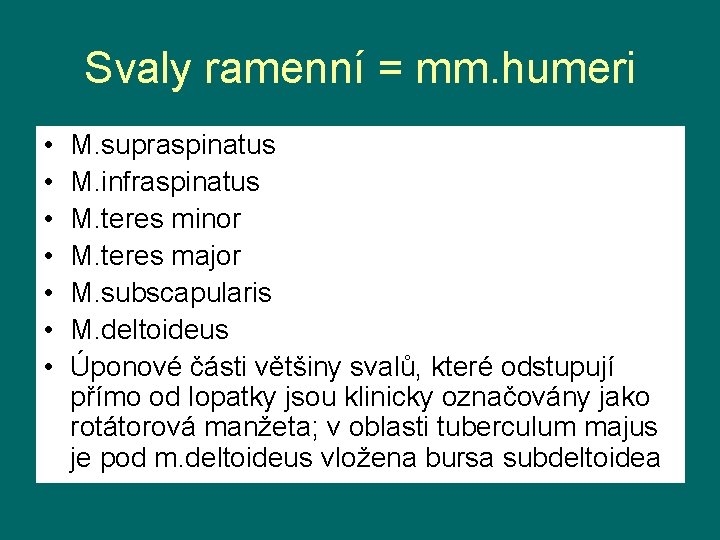 Svaly ramenní = mm. humeri • • M. supraspinatus M. infraspinatus M. teres minor