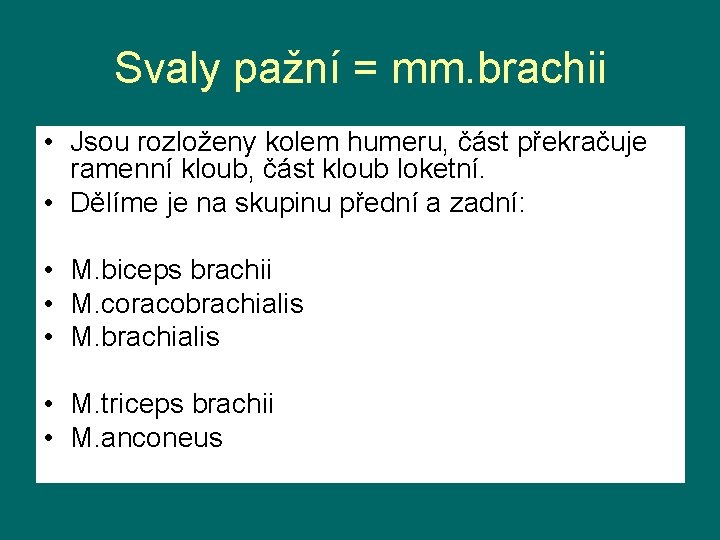 Svaly pažní = mm. brachii • Jsou rozloženy kolem humeru, část překračuje ramenní kloub,