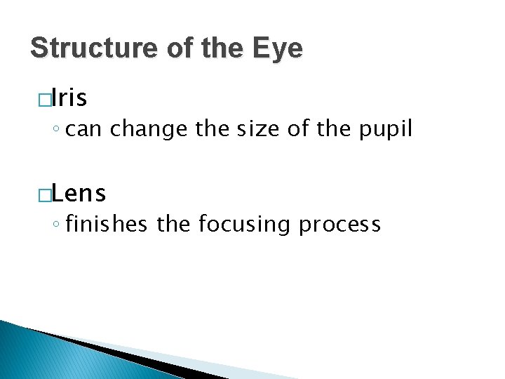 Structure of the Eye �Iris ◦ can change the size of the pupil �Lens