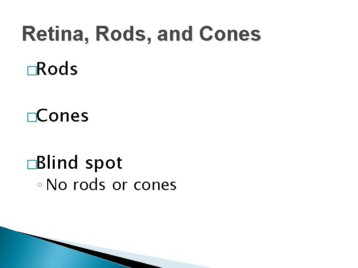 Retina, Rods, and Cones �Rods �Cones �Blind spot ◦ No rods or cones 