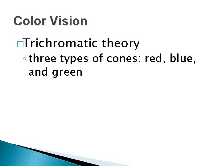 Color Vision �Trichromatic theory ◦ three types of cones: red, blue, and green 