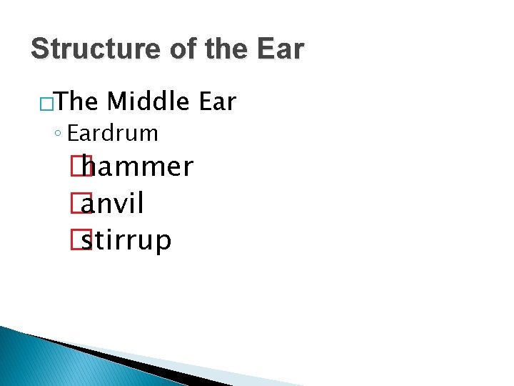 Structure of the Ear �The Middle Ear ◦ Eardrum � hammer � anvil �