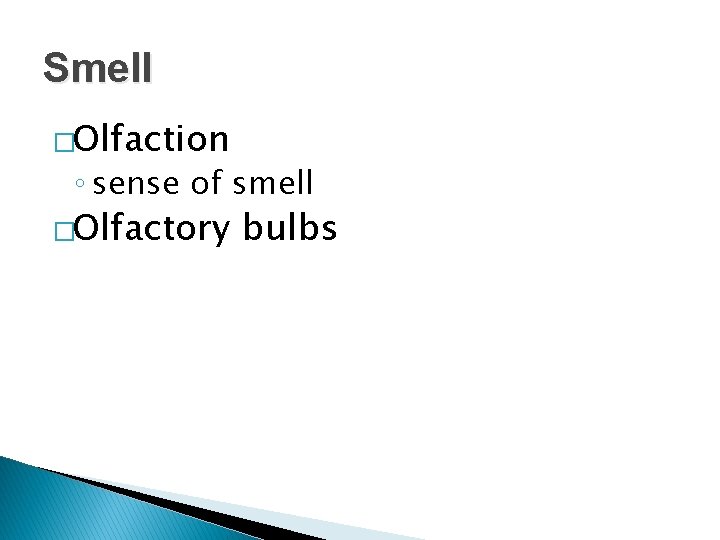 Smell �Olfaction ◦ sense of smell �Olfactory bulbs 