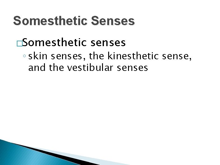 Somesthetic Senses �Somesthetic senses ◦ skin senses, the kinesthetic sense, and the vestibular senses