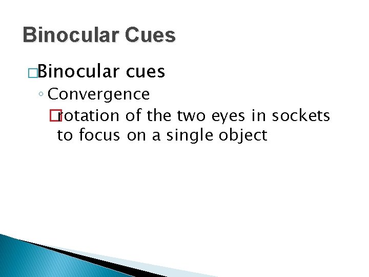 Binocular Cues �Binocular cues ◦ Convergence �rotation of the two eyes in sockets to
