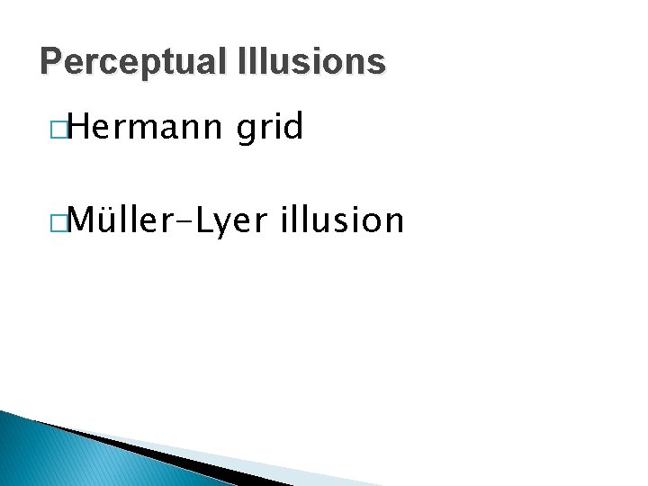 Perceptual Illusions �Hermann grid �Müller-Lyer illusion 