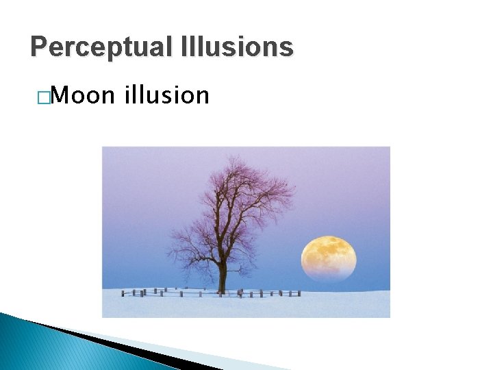 Perceptual Illusions �Moon illusion 