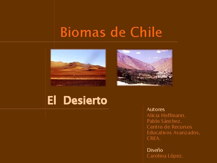 Biomas de Chile El Desierto Autores Alicia Hoffmann. Pablo Sánchez. Centro de Recursos Educativos