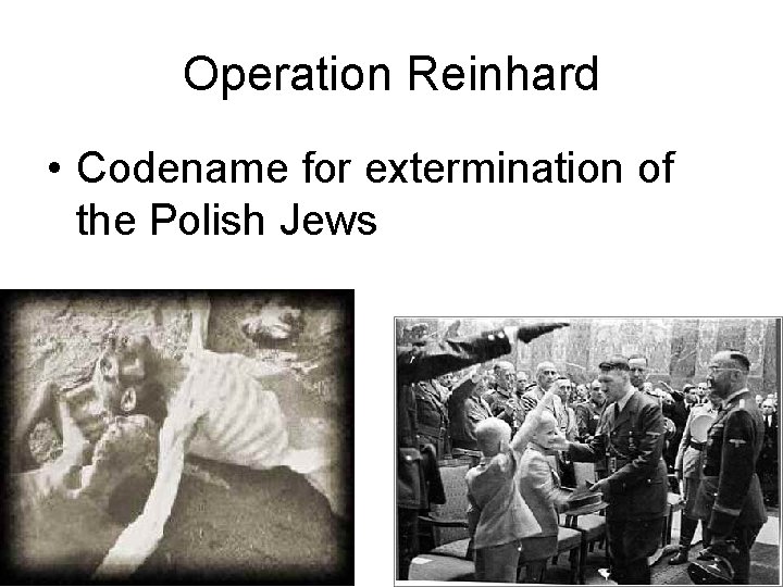 Operation Reinhard • Codename for extermination of the Polish Jews 