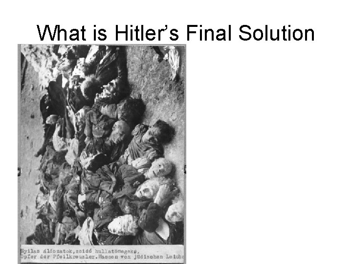What is Hitler’s Final Solution 