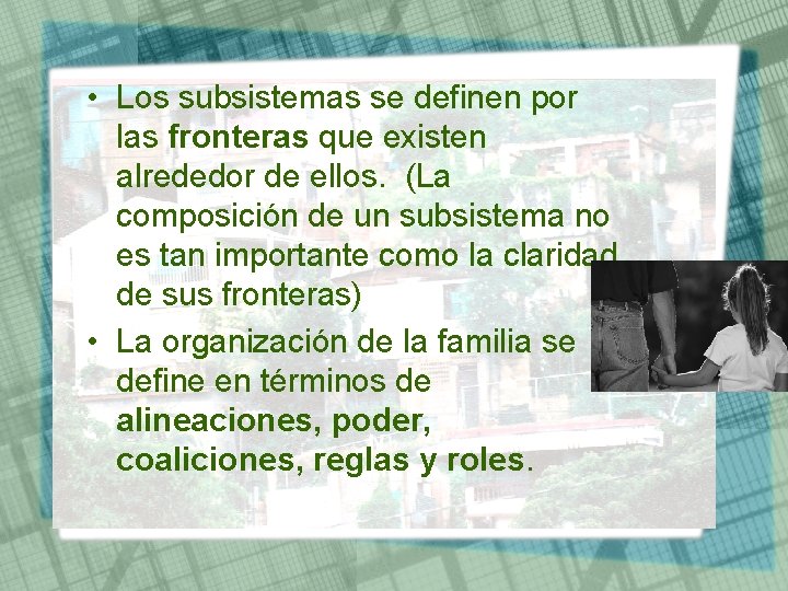  • Los subsistemas se definen por las fronteras que existen alrededor de ellos.