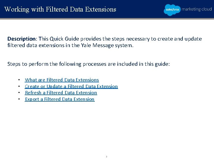 Working with Filtered Data Extensions Description: This Quick Guide provides the steps necessary to