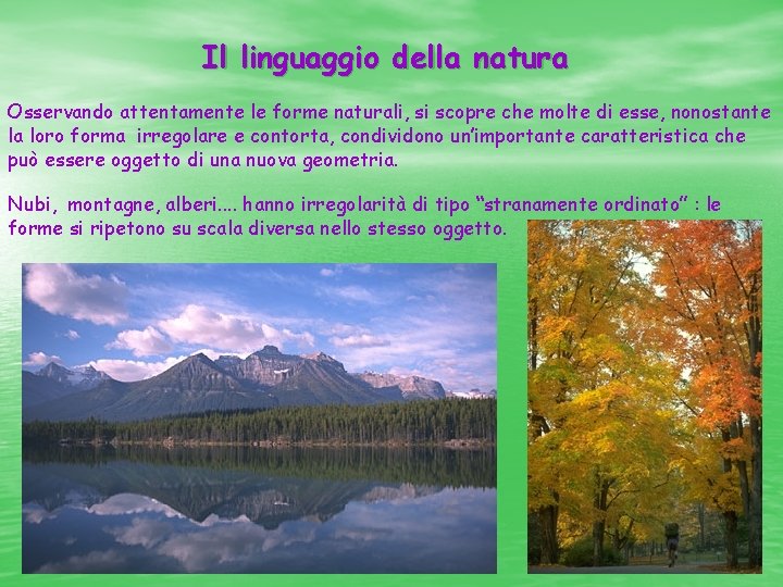 Il linguaggio della natura Osservando attentamente le forme naturali, si scopre che molte di