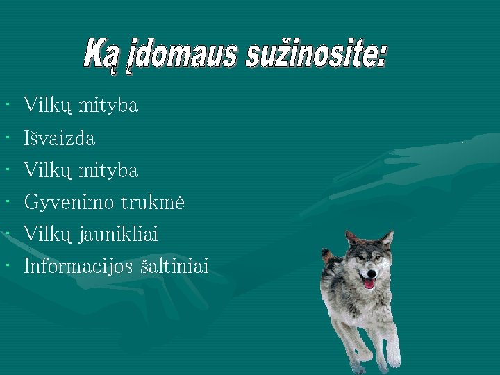  • • • Vilkų mityba Išvaizda Vilkų mityba Gyvenimo trukmė Vilkų jaunikliai Informacijos