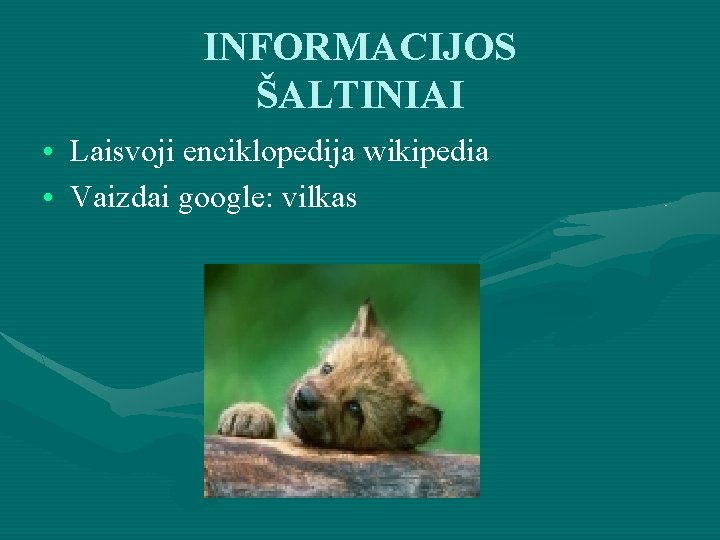 INFORMACIJOS ŠALTINIAI • Laisvoji enciklopedija wikipedia • Vaizdai google: vilkas 