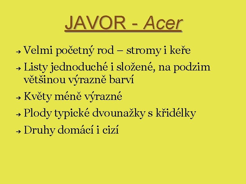 JAVOR - Acer ➔ ➔ Velmi početný rod – stromy i keře Listy jednoduché