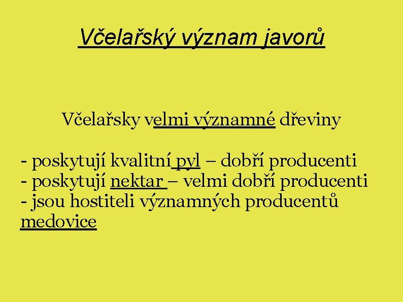 Včelařský význam javorů Včelařsky velmi významné dřeviny - poskytují kvalitní pyl – dobří producenti