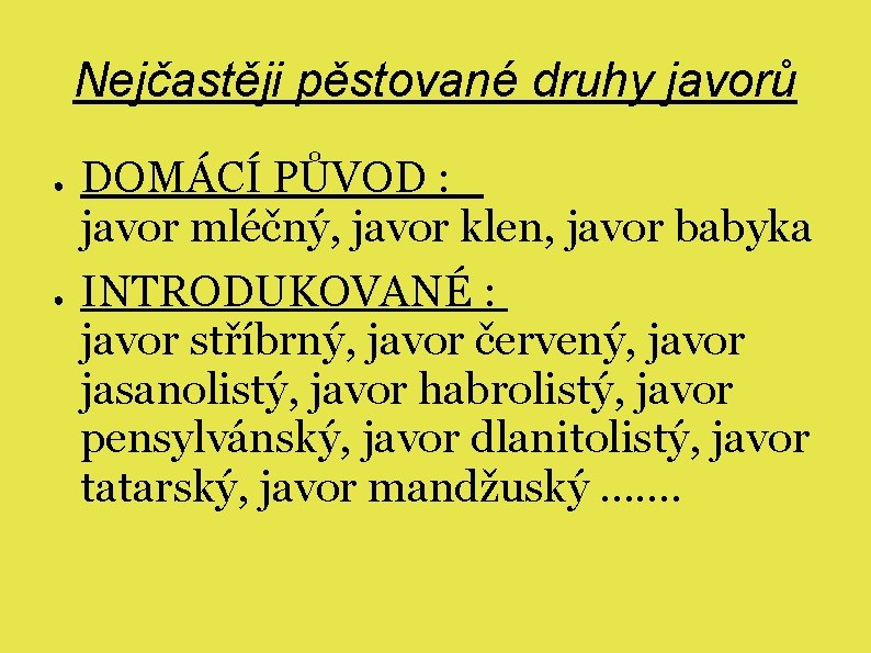 Nejčastěji pěstované druhy javorů ● ● DOMÁCÍ PŮVOD : javor mléčný, javor klen, javor