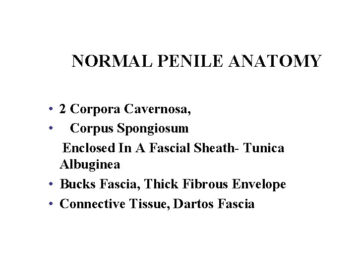 NORMAL PENILE ANATOMY • 2 Corpora Cavernosa, • Corpus Spongiosum Enclosed In A Fascial