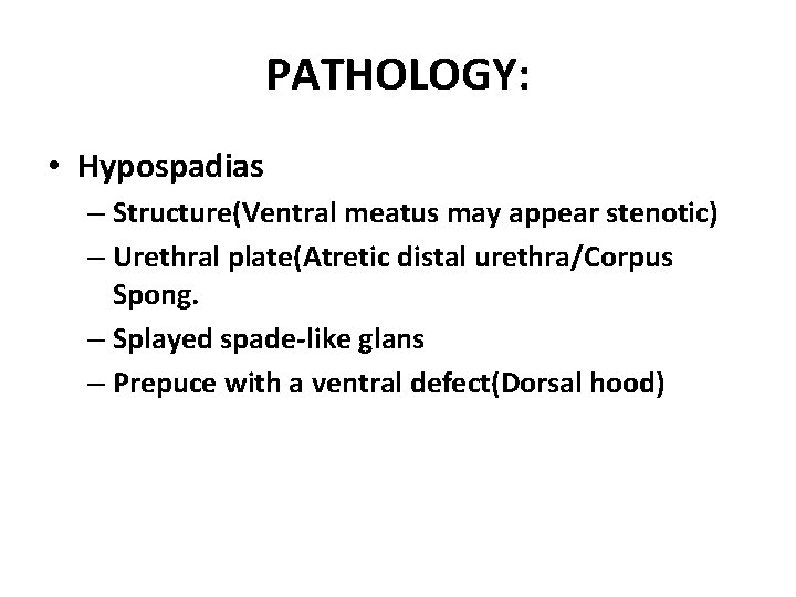 PATHOLOGY: • Hypospadias – Structure(Ventral meatus may appear stenotic) – Urethral plate(Atretic distal urethra/Corpus