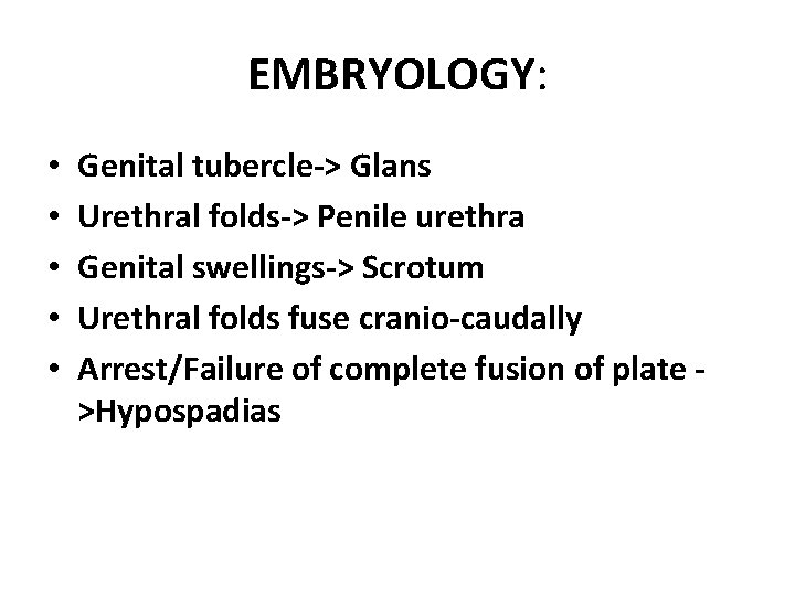 EMBRYOLOGY: • • • Genital tubercle-> Glans Urethral folds-> Penile urethra Genital swellings-> Scrotum