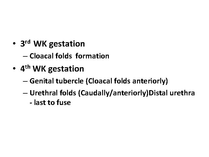 • 3 rd WK gestation – Cloacal folds formation • 4 th WK