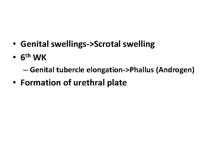  • Genital swellings->Scrotal swelling • 6 th WK – Genital tubercle elongation->Phallus (Androgen)