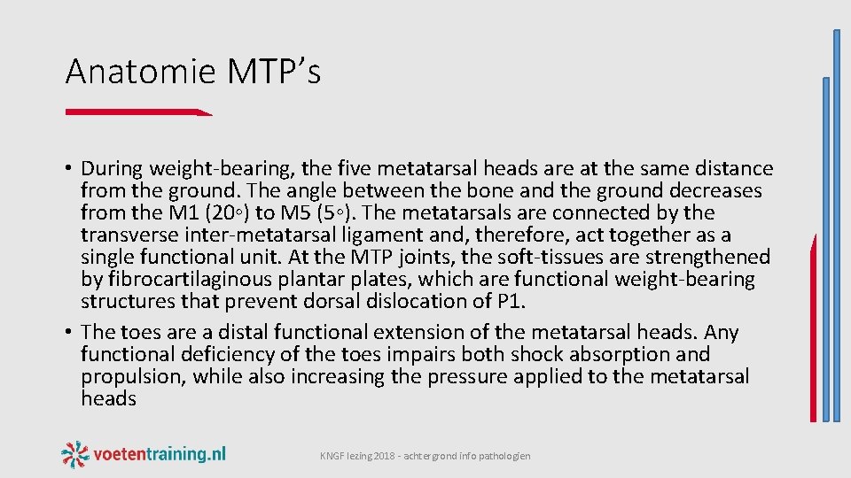 Anatomie MTP’s • During weight-bearing, the five metatarsal heads are at the same distance