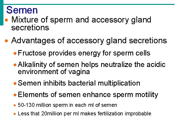 Semen Mixture of sperm and accessory gland secretions Advantages of accessory gland secretions Fructose
