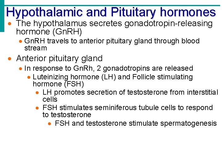 Hypothalamic and Pituitary hormones The hypothalamus secretes gonadotropin-releasing hormone (Gn. RH) Gn. RH travels