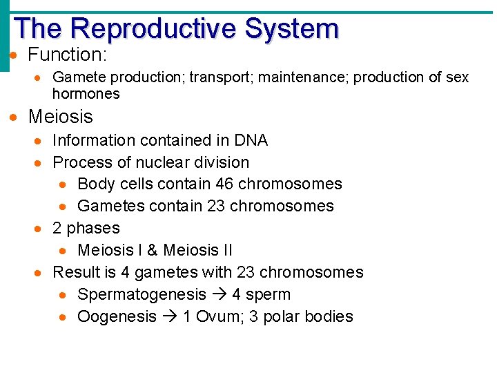 The Reproductive System Function: Gamete production; transport; maintenance; production of sex hormones Meiosis Information