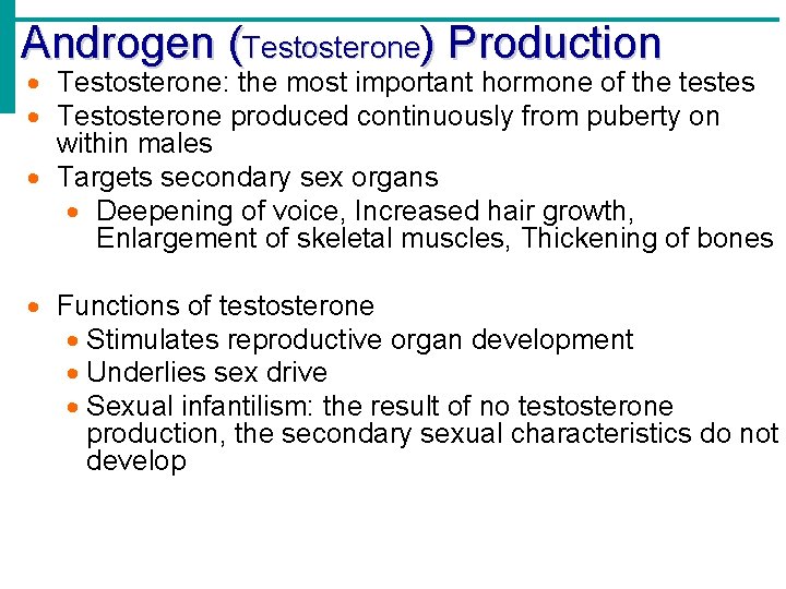 Androgen (Testosterone) Production Testosterone: the most important hormone of the testes Testosterone produced continuously