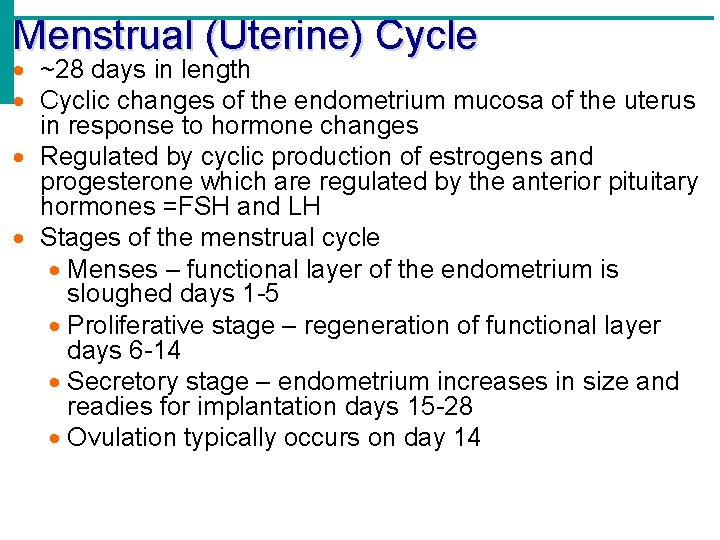 Menstrual (Uterine) Cycle ~28 days in length Cyclic changes of the endometrium mucosa of