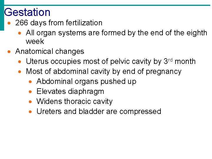 Gestation 266 days from fertilization All organ systems are formed by the end of