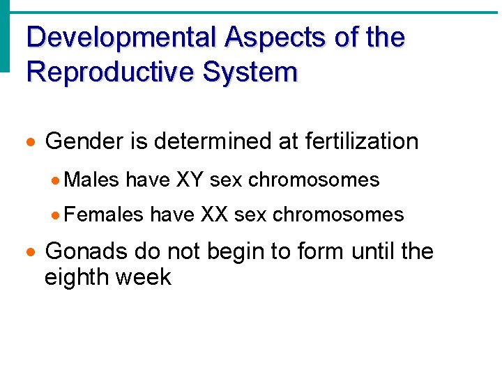 Developmental Aspects of the Reproductive System Gender is determined at fertilization Males have XY