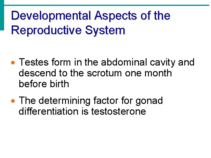 Developmental Aspects of the Reproductive System Testes form in the abdominal cavity and descend