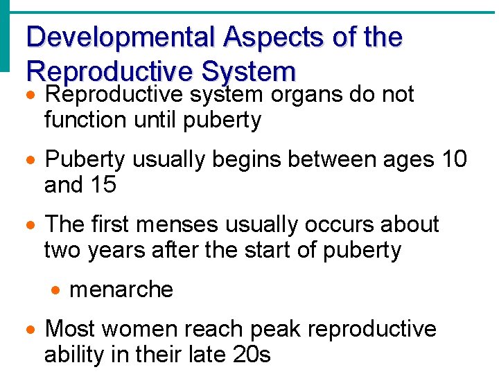 Developmental Aspects of the Reproductive System Reproductive system organs do not function until puberty
