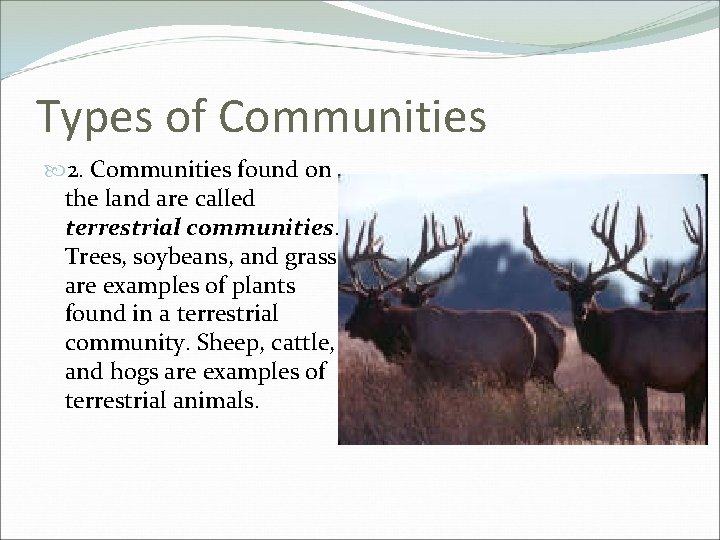 Types of Communities 2. Communities found on the land are called terrestrial communities. Trees,
