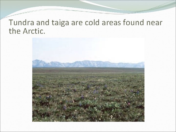 Tundra and taiga are cold areas found near the Arctic. 