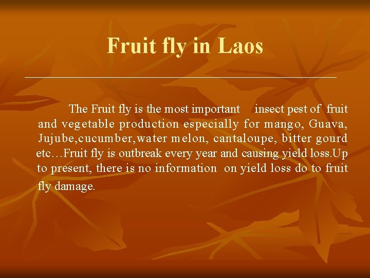 Fruit fly in Laos The Fruit fly is the most important insect pest of
