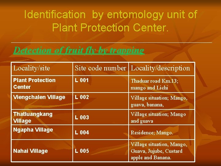 Identification by entomology unit of Plant Protection Center. Detection of fruit fly by trapping