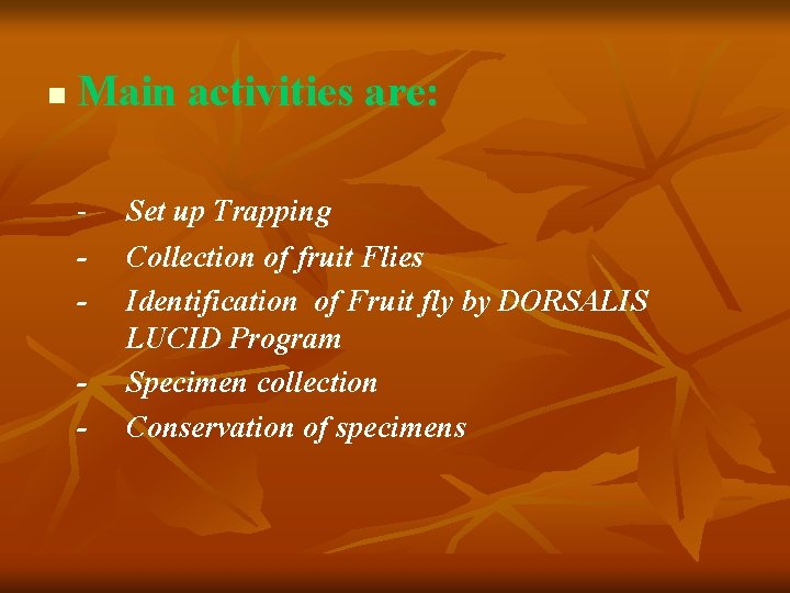 n Main activities are: - Set up Trapping Collection of fruit Flies Identification of