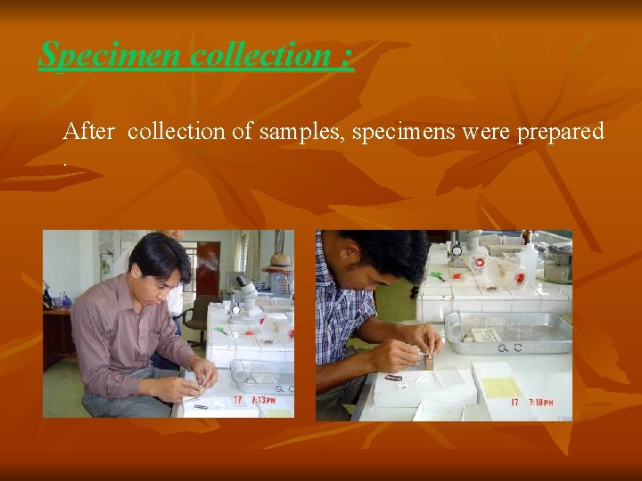 Specimen collection : After collection of samples, specimens were prepared. 