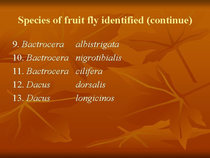 Species of fruit fly identified (continue) 9. Bactrocera 10. Bactrocera 11. Bactrocera 12. Dacus