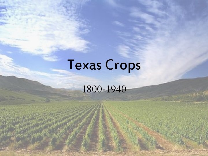 Texas Crops 1800 -1940 