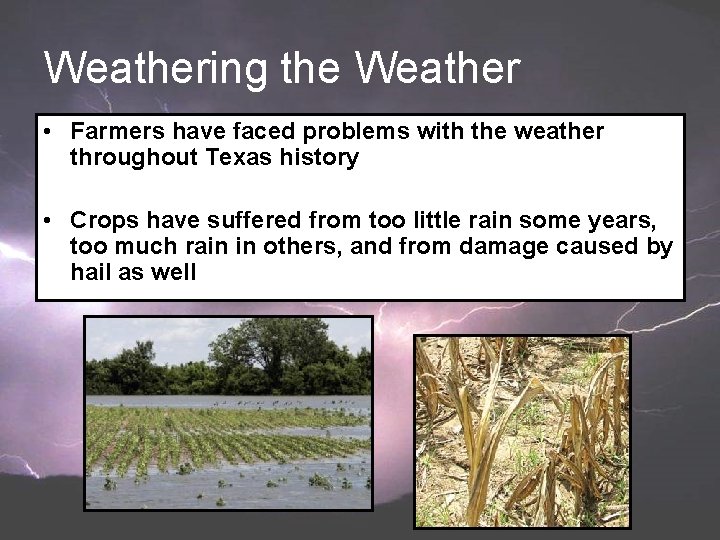 Weathering the Weather • Farmers have faced problems with the weather throughout Texas history